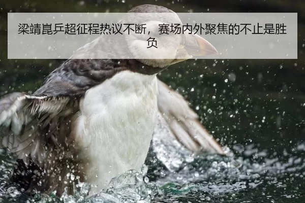 liang-jing-kun-ping-chao-zheng-cheng-re-yi-bu-duan-sai-chang-nei-wai-ju-jiao-de-bu-zhi-shi-sheng-fu-2-449.jpg